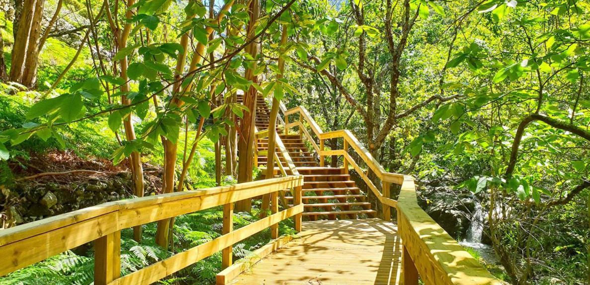 Sweet Home - Praia Das Rocas Castanheira de Pera Ngoại thất bức ảnh